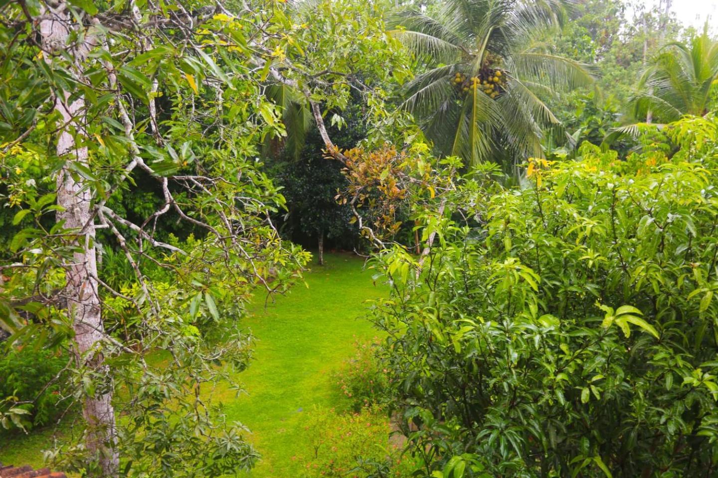 Halcyon Galle Exterior foto