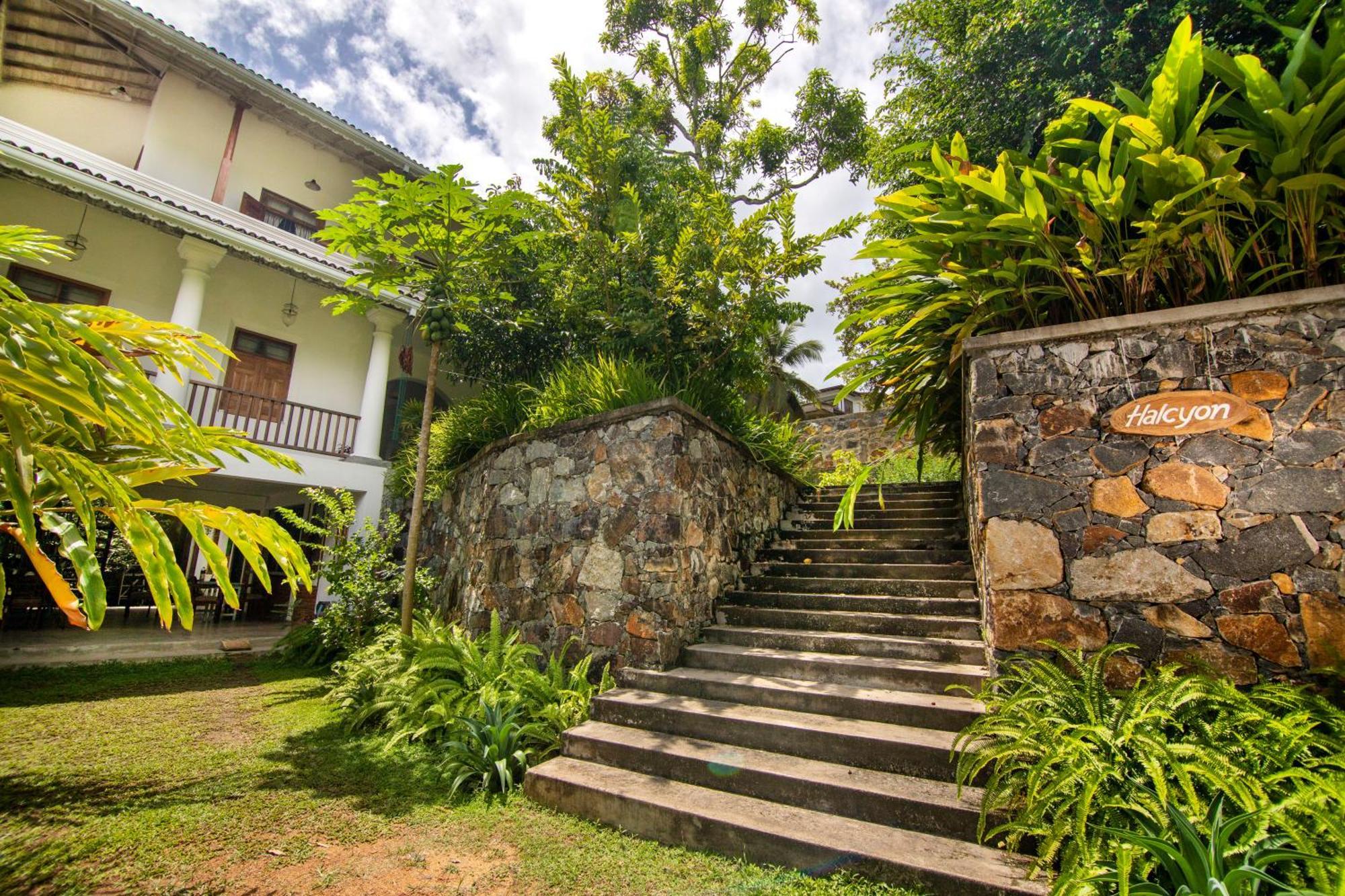 Halcyon Galle Exterior foto